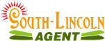 SOUTH-LINCOLN AGENT